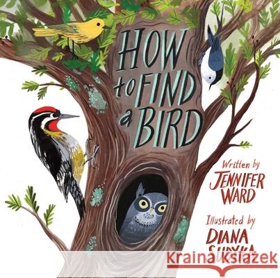 How to Find a Bird Jennifer Ward Diana Sudyka 9781481467056 Beach Lane Books