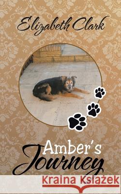 Amber's Journey Elizabeth Clark 9781481782487