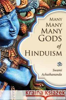 Many Many Many Gods of Hinduism: Turning believers into non-believers and non-believers into believers Achuthananda, Swami 9781481825528 Createspace