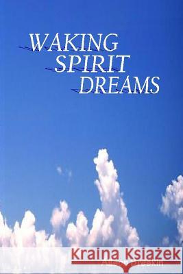 Waking Spirit Dreams Alison Breskin 9781481835565