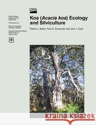 Koa (Acacia koa) Ecology and Silviculture Scowcroft, Paul G. 9781482034028 Createspace