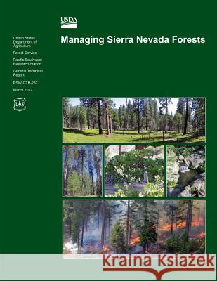 Managing Sierra Nevada Forests Malcolm North 9781482034882