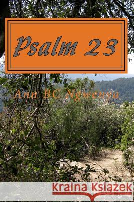 Psalm 23 MS Ann Ngwenya 9781482046281 Createspace