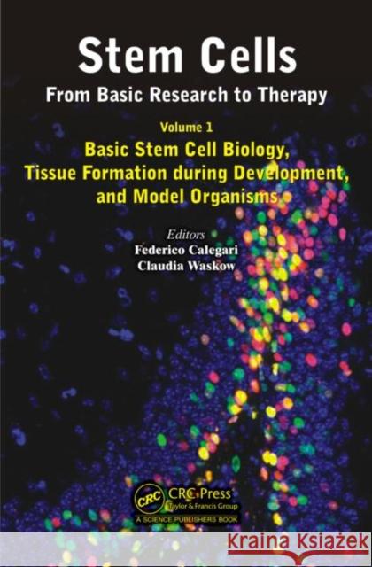 Stem Cells: From Basic Research to Therapy, Volume 1: Basic Stem Cell Biology, Tissue Formation During Development, and Model Organisms Calegari, Federico 9781482207750 CRC Press Inc