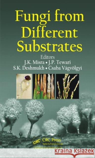 Fungi from Different Substrates Misra, J. K. 9781482209600 Apple Academic Press Inc.