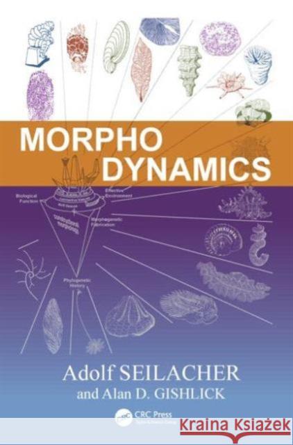 Morphodynamics Alan D. Gishlick Adolf Seilacher 9781482221183 CRC Press