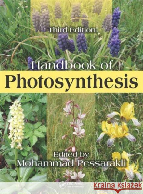 Handbook of Photosynthesis Mohammad Pessarakli   9781482230734 Taylor and Francis