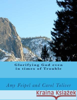 Glorifying God even in times of Trouble Toliver, Carol 9781482377521 Createspace Independent Publishing Platform