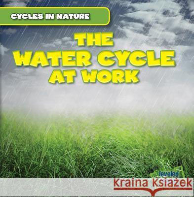 The Water Cycle at Work George Pendergast 9781482416718 Gareth Stevens Publishing