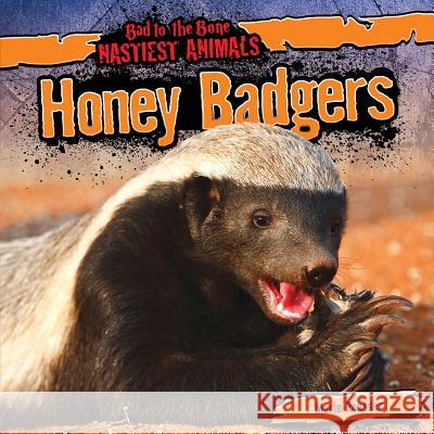 Honey Badgers Marie Roesser 9781482419559 Gareth Stevens Publishing