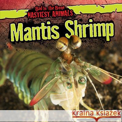 Mantis Shrimp Marie Roesser 9781482419597 Gareth Stevens Publishing