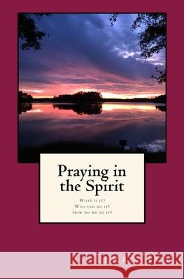 Praying in the Spirit: What Is It? Who Can Do It? How Do We Do It? Terry Ivy 9781482527698 Createspace