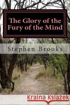 The Glory of the Fury of the Mind: A Novelty of Poems MR Stephen T. Brooks 9781482562057