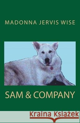 Sam & Company Madonna Jervis Wis 9781482647532