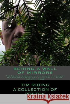 Behind a wall of mirrors Riding, Tim M. 9781482746655
