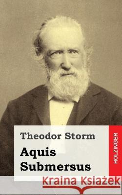 Aquis Submersus Theodor Storm 9781482753042 Createspace