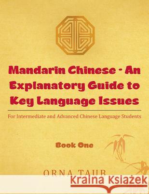 Mandarin Chinese - An Explanatory Guide to Key Language Issues: For Intermediate and Advanced Chinese Language Students Orna Taub   9781482831825 Partridge Singapore