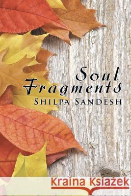 Soul Fragments Shilpa Sandesh   9781482840124