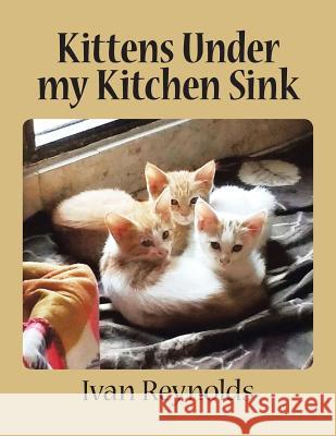 Kittens Under my Kitchen Sink Ivan Reynolds 9781482855135