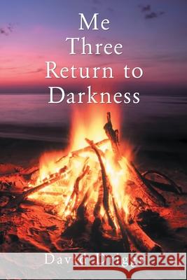 Me Three: Return to Darkness David Driggs 9781483411750