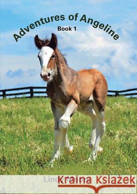 Adventures of Angeline: Book 1 Lindy Moore 9781483438597