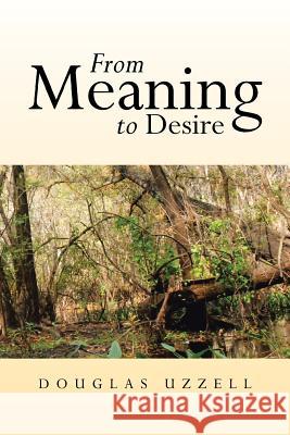 From Meaning to Desire Douglas Uzzell 9781483612997
