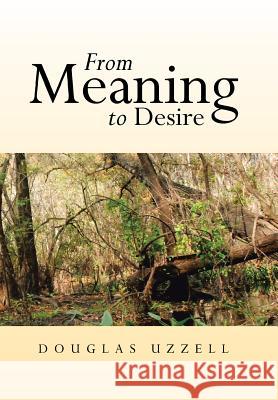 From Meaning to Desire Douglas Uzzell 9781483613000