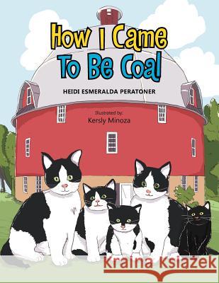 How I Came to Be Coal Heidi Esmeralda Peratoner 9781483641171 Xlibris Corporation