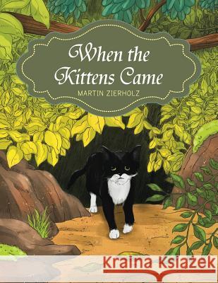 When the Kittens Came Martin Zierholz 9781483677880 Xlibris Corporation