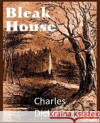 Bleak House Charles Dickens 9781483703077 Bottom of the Hill Publishing