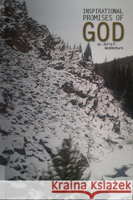 Inspirational Promises of GOD Wedderburn, Julia P. 9781483940373