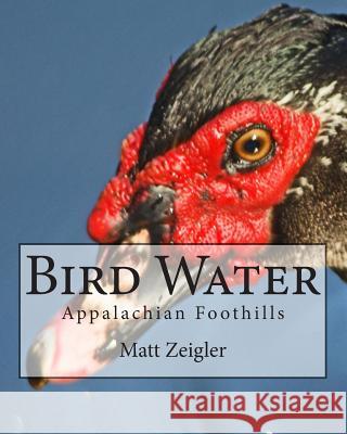 Bird Water: Appalachian Foothills Matt Zeigler 9781483941448 Createspace