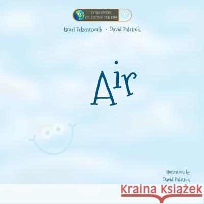 Air David Palatnik Israel Felzenszwalb 9781483983868 Createspace