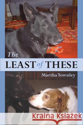 The Least of These Martha Townley 9781483987392 Createspace