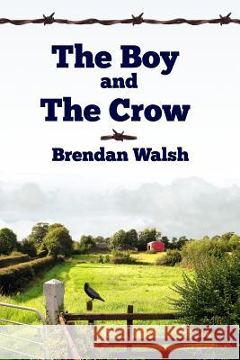 The Boy and the Crow Brendan Walsh 9781483987736