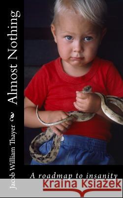 Almost Nothing MR Jacob William Thayer 9781484023914 Createspace Independent Publishing Platform