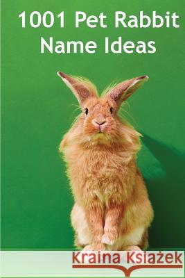 1001 Pet Rabbit Name Ideas: The most popular, quirky, and fun names you could give your pet rabbit! Thompson, Alison 9781484114728