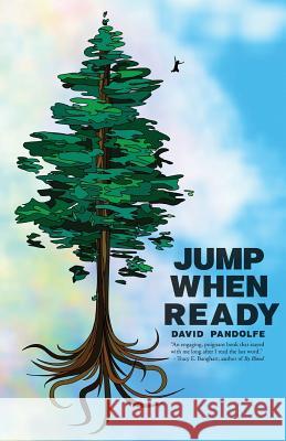 Jump When Ready David Pandolfe 9781484153956 Createspace