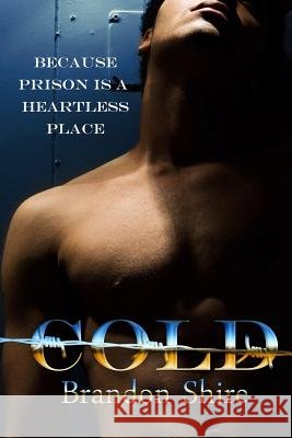 Cold Brandon Shire 9781484156582