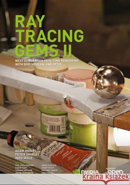 Ray Tracing Gems: High-Quality and Real-Time Rendering with Dxr and Other APIs Haines, Eric 9781484244265 Apress