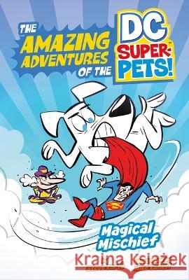 Magical Mischief Steve Kort? Mike Kunkel 9781484672105 Picture Window Books