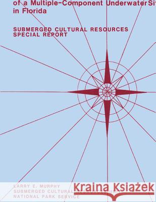 8sl17: Natural Site-Formation Processes of a Multiple-Component Underwater Site in Florida Larry E. Murphy Linda Scott Cummings 9781484809785