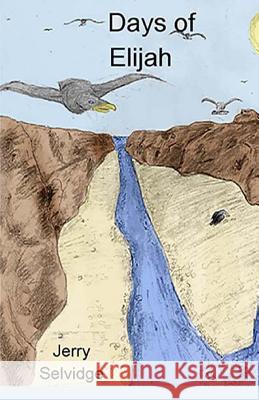 Days of Elijah: The Refining Work of God In Developing Character Shannon, Judy 9781484833384 Createspace