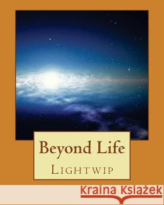Beyond Life J. a. Diller B. J. Diller 9781484879740 Createspace