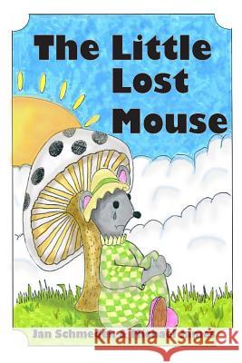 The Little Lost Mouse Jan Schmedek James Junior Michael James 9781484888599