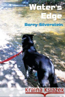 Water's Edge Barry Silverstein 9781484915806