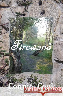 Firewand Connie Cook 9781484927090