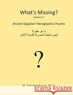 What's Missing?: Ancient Egyptian Hieroglyphics Puzzles Jeffrey M. Stonecash M. Schottenbauer 9781484960967