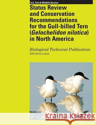 Status Review and Conservation Recommendations for the Gull-billed Tern (Gelochelidon nilotica) in North America Molina, Kathy C. 9781484971185 Createspace