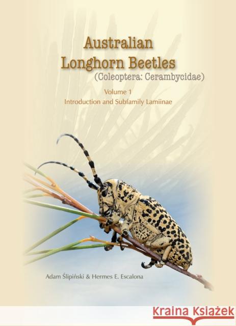 Australian Longhorn Beetles: (Coleoptera: Cerambycidae) Slipinski, Adam 9781486300037 CSIRO Publishing